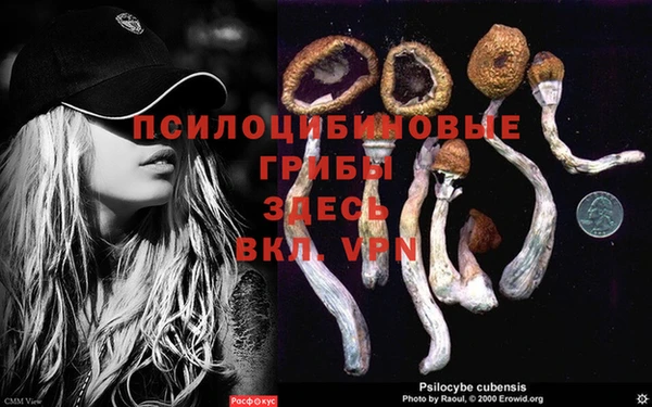 гашик Щёлкино