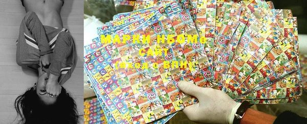 гашик Щёлкино